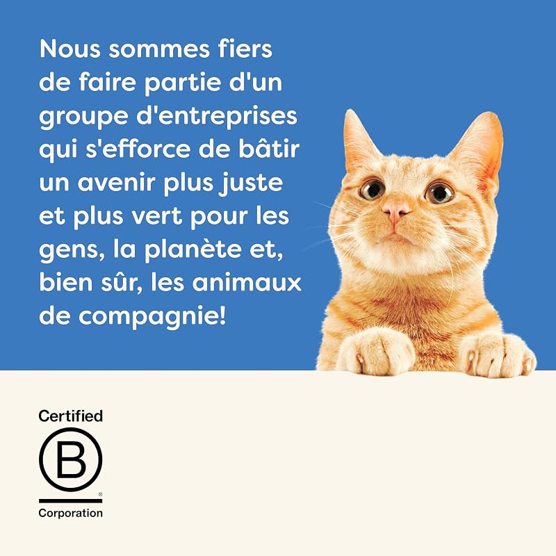 Nourriture Humide 100% Naturelle pour Chats Adultes, Sélection de Poissons en Sauce, Pack Mixte, 12 x 70g Boîtes