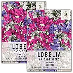Seed Needs, Cascade Mixture Lobelia Seeds - 5,000