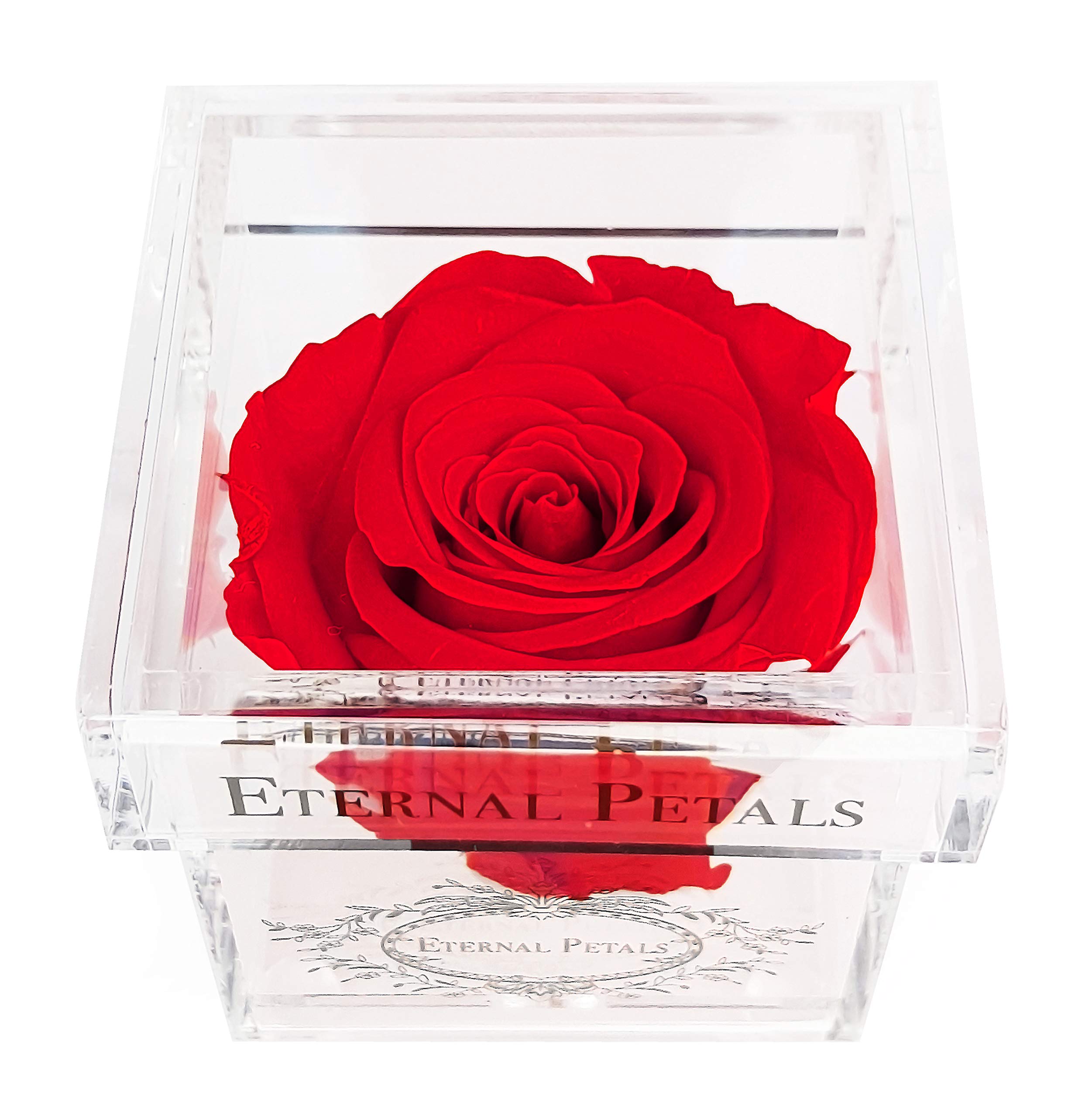 Eternal PetalsA 100% Real Rose That Lasts Years - , Handmade in Dubai – White Gold Solo (Red)