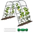 IDEA FAMILY Cucumber Trellis for Raised Bed 67" x 67" U-Frame Garden Arch Tunnel with Netting Vegetable Fruit Flower Lightweight Metal Plant Support for Climbing Plants Outdoor,Black
