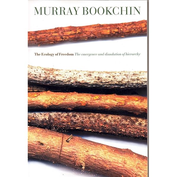 Amazon.com: Justice and the Environment: Conceptions of