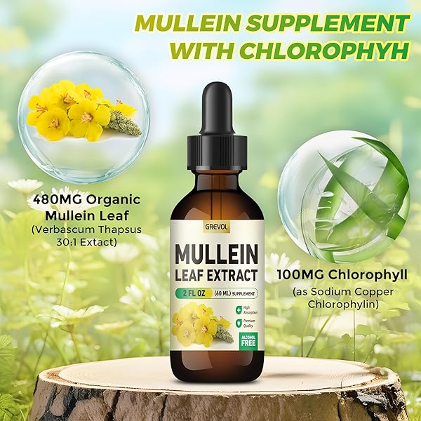 GREVOL MULLEIN DROPS FOR LUNGS, ORGANIC MULLEIN LEAF EXTRACT FOR LUNGS DETOX WITH CHLOROPHYLL HERBAL SUPPLEMENT, MULLEIN TINCTURE FOR RESPIRATORY& IMMUNE SUPPORT, NON-GMO VEGAN, 2 FL OZ