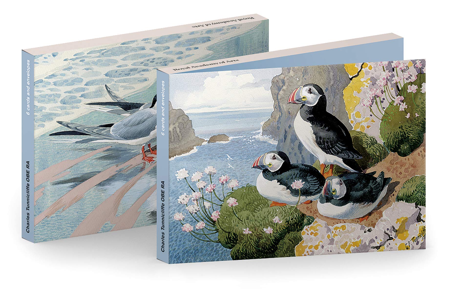 Royal Academy Charles Tunnicliffe Puffins and Terns Set of 6 Art Greetings Cards (17 x 12 cm)