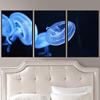 3 Piece Framed Canvas Wall Art Colorful Jellyfish Marine Life Canvas Prints Home Artwork Decoration for Living Room,Bedroom - 16