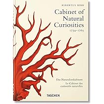 Cabinets of Curiosities: Compact edition | Amazon.com.br