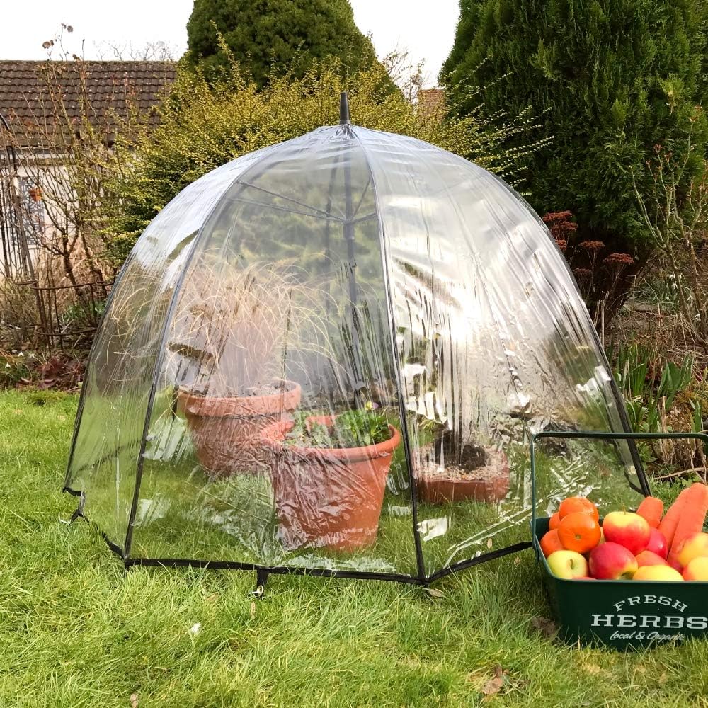 The Best After Sale Service Pop N Crop Poly Greenhouse Umbrella Garden Grow House Dome For Tomatoes Fruit Plants 1 2m O X 0 75m H Pk 1 Garden Outdoors Wholesale Cheap Ramirobianchi Com Ar