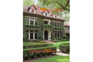 Decisions: A Companion to the MacCrinnen Saga (The Catherine MacCrinnen Saga)