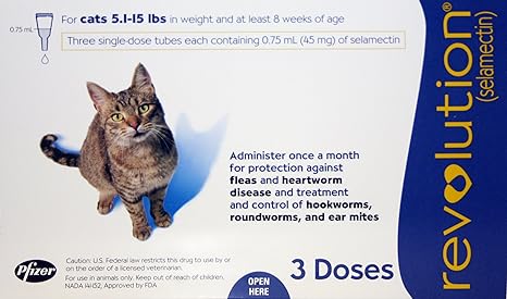 royal canin feline british shorthair 10 kg