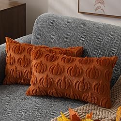 DFXSZ Fall Pillow Covers 12x20 Set of 2 Fall