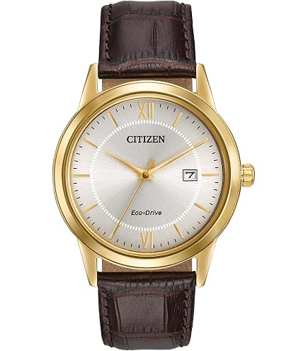 Citizen Men's Classic Eco-Drive Watch with 3-Hand Day and Date, Brown Leather Strap/ Rose Gold : Clothing, Shoes & Jewelry