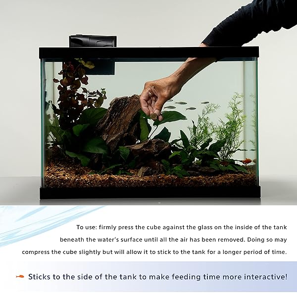 AQUEON STICK’EMS FREEZE-DRIED COLOR BOOSTING PET FISH TREAT , 0.42 OZ