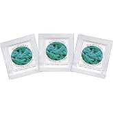 Yogurt Starter Cultures - Pack of 3 Freeze-dried Culture Sachets for Bifido Yogurt