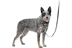 PetSafe Easy Walk Comfort No-Pull Dog Harness - Better Walk Training Harness - Full Body Padded Design - Durable Fabric - 5 Point Adjustable Fit - Everyday Leash Training - Black - Medium/Large