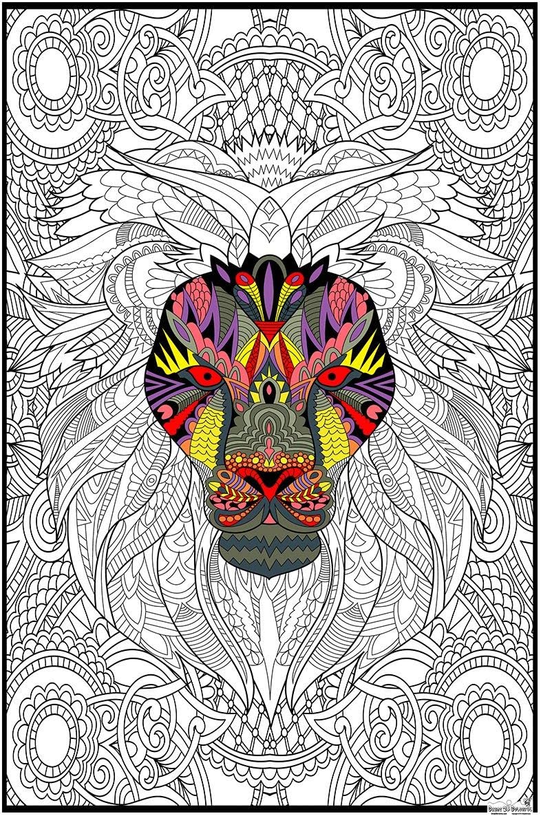 Great2bColorful Original Big Coloring Poster (24''x 36'') King of The Jungle