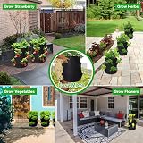 GOTGELIF 2 Pack 10 Gallon Strawberry Grow Bags with 8 Side Pockets view 7