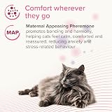Beaphar CatComfort Calming Spot-On for Cats 3 Pipettes Reduces Anxiety view 3
