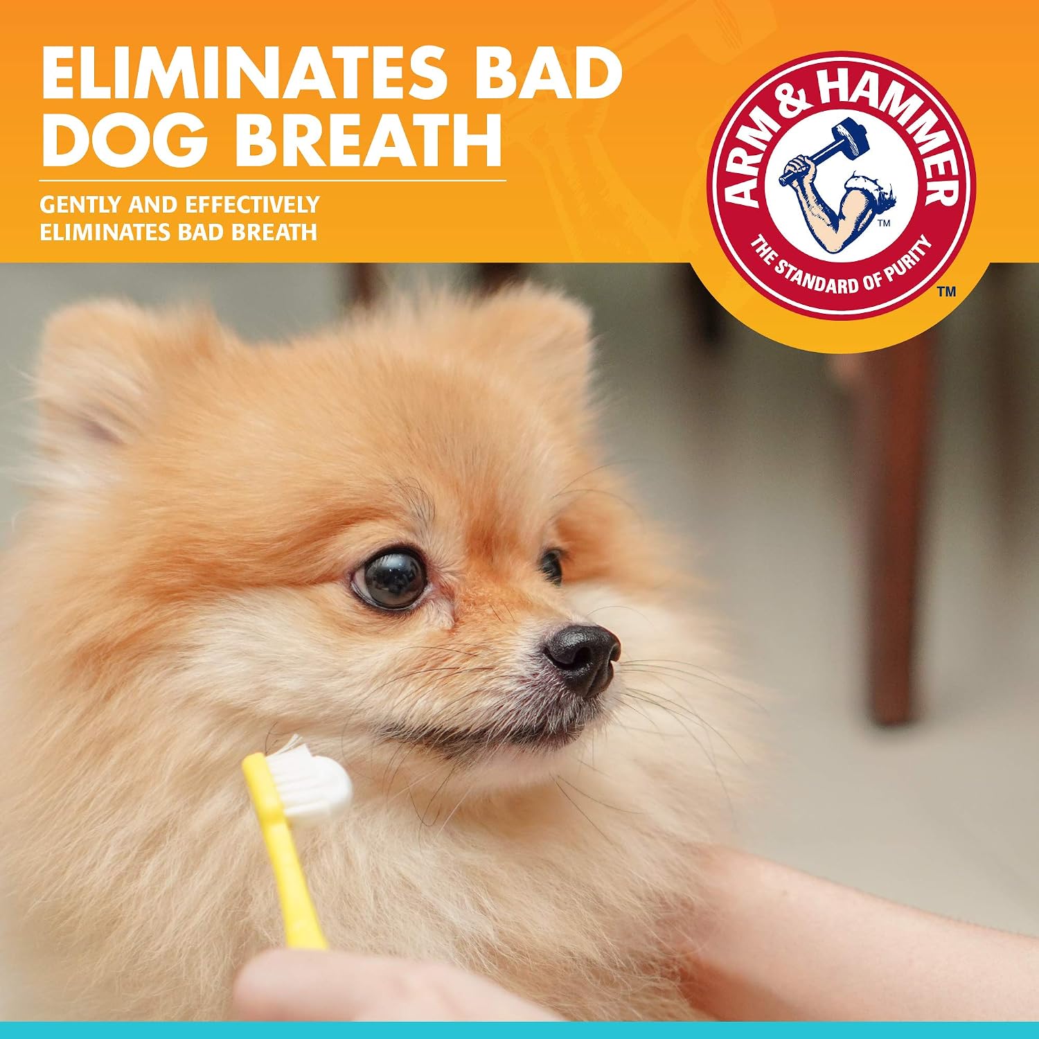 Arm & Hammer Fresh Breath Enzymatic Toothpaste for Dogs Vanilla Ginger 67.5 g (Pack of 1) - Image 4
