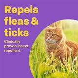 Bob Martin Clear Spot On Flea Tick Repellent for Cats & Kittens 6 Pipettes view 3