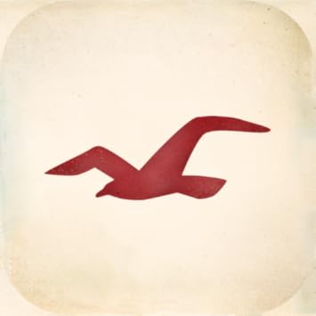 hollister promotions