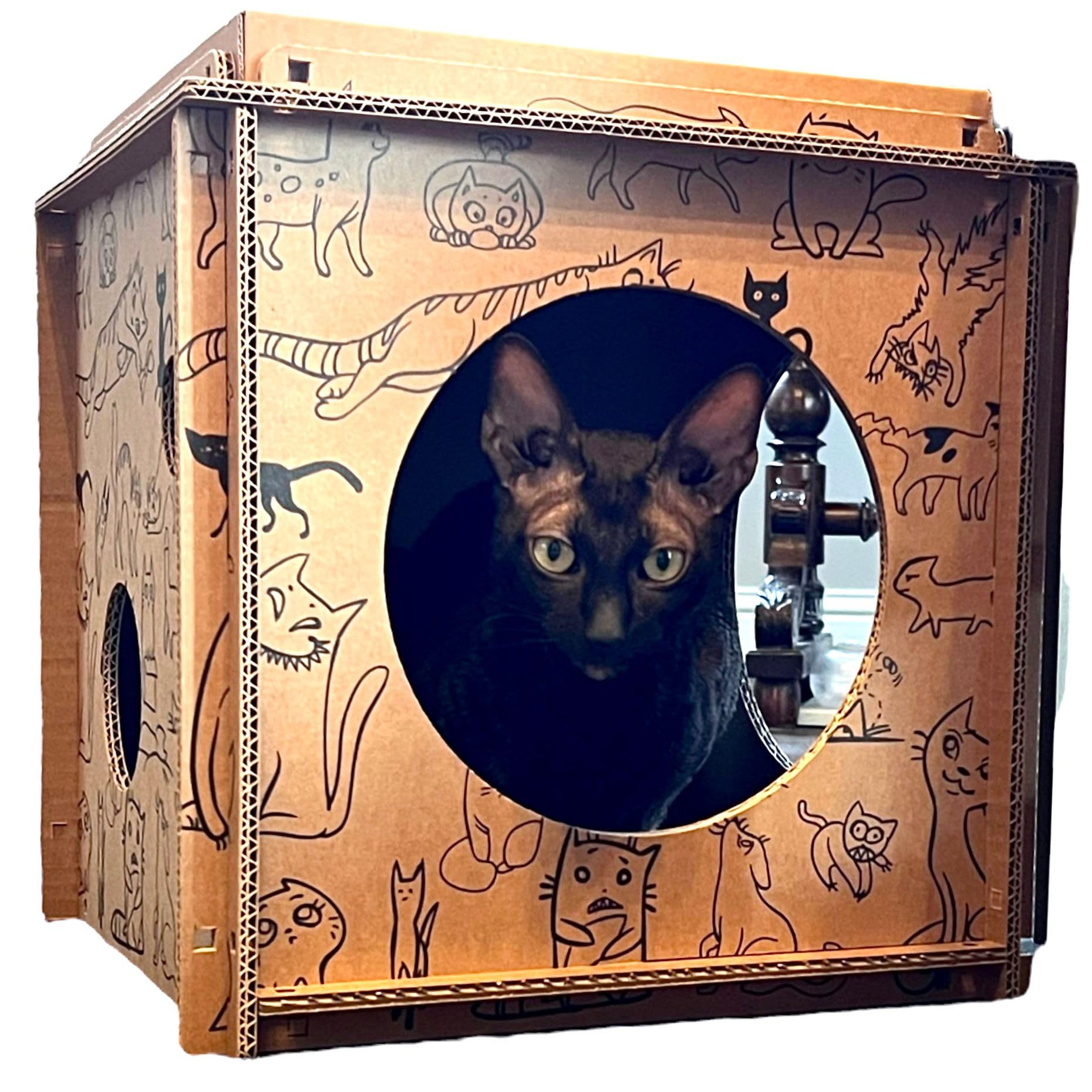 Premium Cat House made from Recyclable Cardboard Cubes (1-Cube)