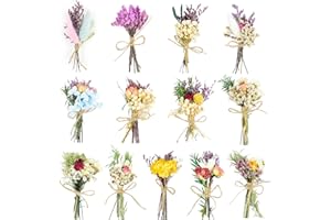 BASECA Dried Flowers - 13 PCS Mini Dried Flower Bouquet, Natural Flowers Forget Me Not Myosotis Sylvatica Babysbreath, Floral Plant Flower for Crafts DIY Photo Props Gift Décor