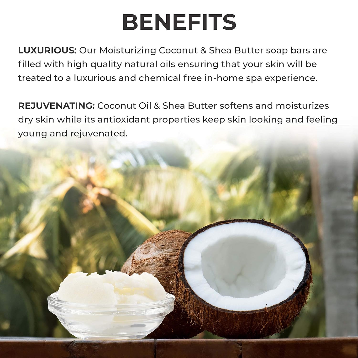 O Naturals 3 Piece Moisturizing Organic Coconut Oil, Shea Butter Bar Soaps. Softens, Nourishes Dry Skin & Sensitive Skin. Face, Hands & Body Soap. Made in USA. Triple Milled, Vegan 3pk 12oz Total : Beauty