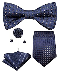 Hi-Tie Navy Gold Plaid Ties and Self-tied Bowtie