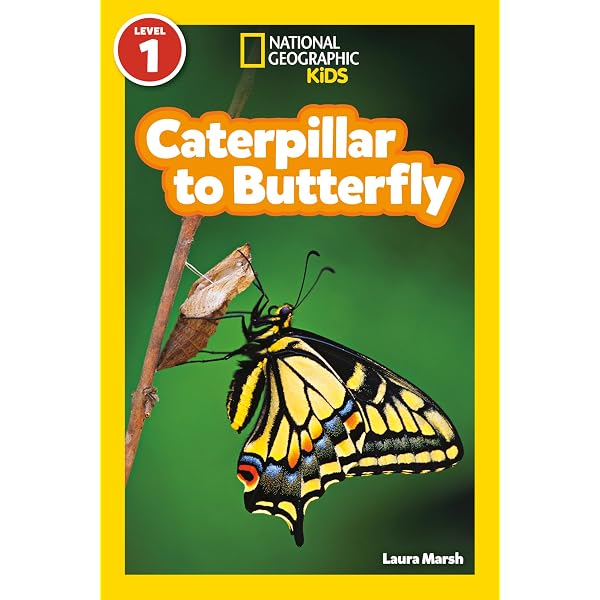 The World Encyclopedia of Butterflies & Moths: A Natural History