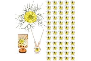 HQT 60PCS Yellow Pressed Flowers for Resin, Natural Dried Pressed Flowers Love-in-a-Mist, Real Dried Flowers for Resin DIY Jewellery Ornament Crafts Candle Making Phone Case Home Decor