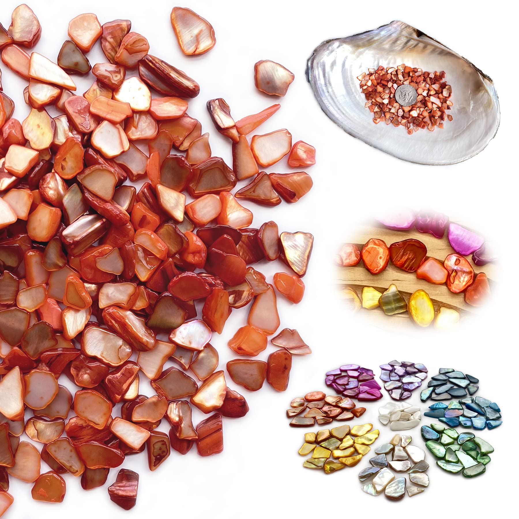 Yew & Tulip Irregular Natural Crushed Shells Chips, 64 oz (4 lb) Orange ...