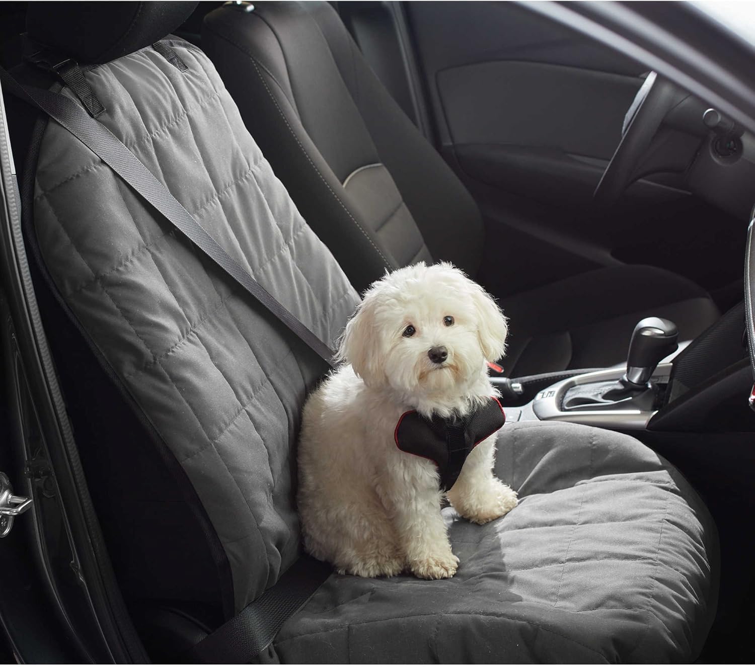 pawslife hammock car seat cover