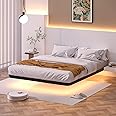 Meitewei Floating Bed Frame with LED Lights Queen Size Metal Platform Floating Bed with 15 Steel Slats, No Box Spring Needed, Noise-Free, Easy to Assemble, Black