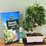 Westland Potting Compost Mix with Seramis 4 L Brown view 3