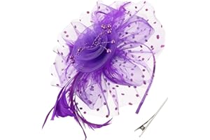 AQOKKA Fascinators Hat for Women Tea Party Mesh Flower Feather Kentucky Derby Hats with Headband and Clip for Girls and Women