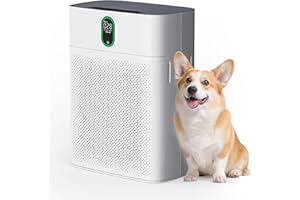 Pureborne Purificateur d'air pour la maison, grande pièce jusqu'à 100 m², filtre HEPA avec écran PM 2,5 et double entrée d'ai