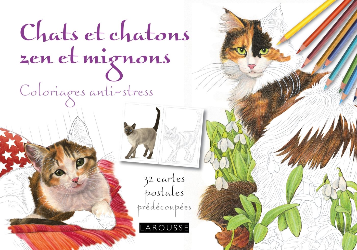 Chats et chatons zen et mignons coloriages anti stress cartes postales Amazon Collectif Livres