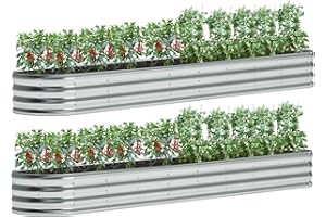 zizin 2 Pack Galvanized Raised Garden Bed Metal Oval Raised Garden Beds Outdoor Planter Box for Vegetables (12x2x1FT, Silver)