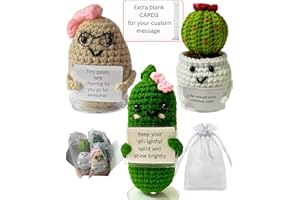 LOVAMILY Crochet Potato Pickle Succulent with Stand, Extra Blank Card Coworker Employee Roommate Friend Gifts Christmas Birthday Farewell Holiday Present Idea Small Cute Desk Office Cubic Decors