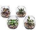 MyGift Assorted Artificial Succulent Fake Plant in Small Clear Glass Display Vases, Set of 4