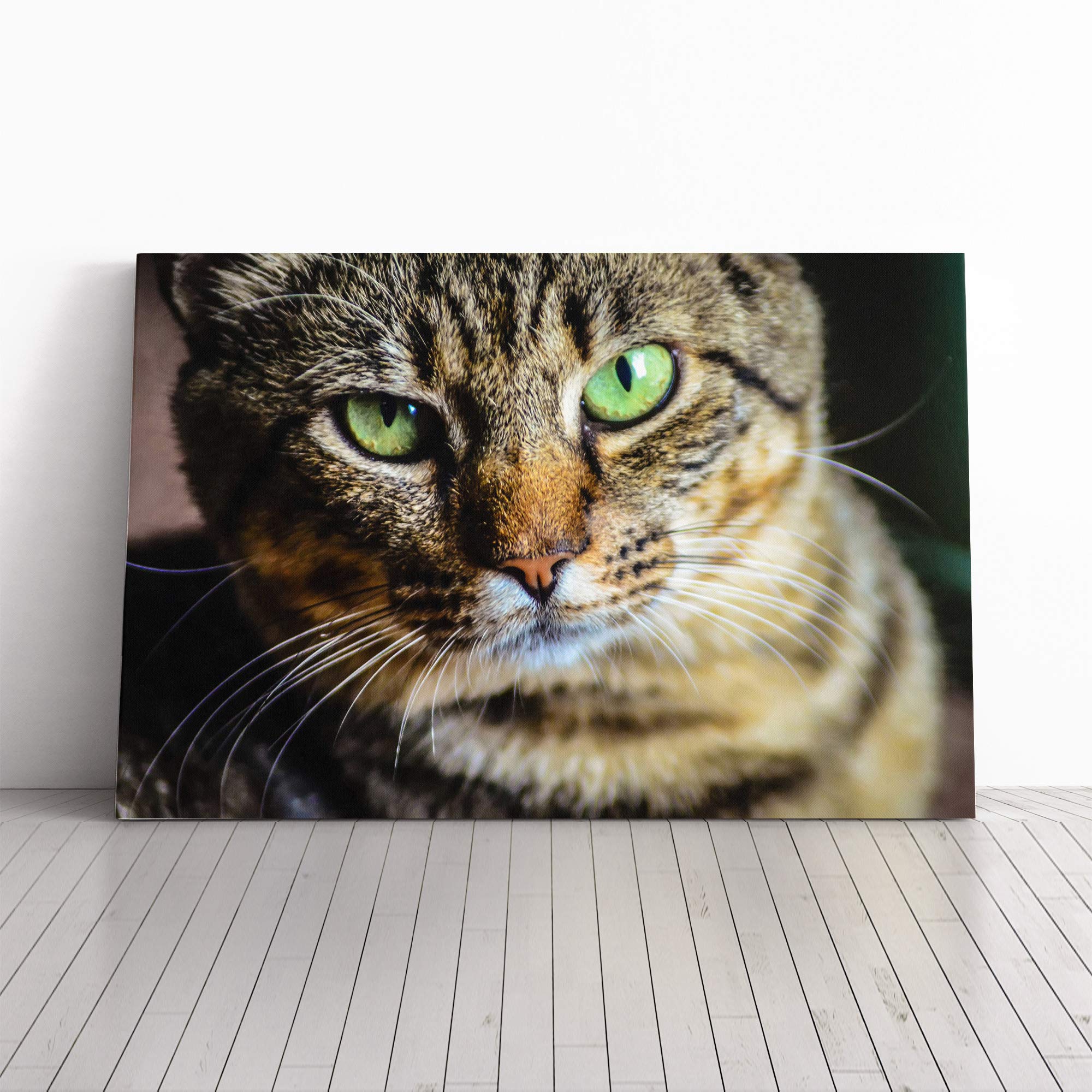 Green Eyed Cat (2) Canvas Print | Gallery Wrapped 30mm Frame Wall Art | 20x14 inches | Ready to Hang | Modern Animals Picture | Living Room Bedroom Lounge Office