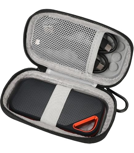 Amazon.com: SanDisk 1TB Extreme Go SSD : Electronics