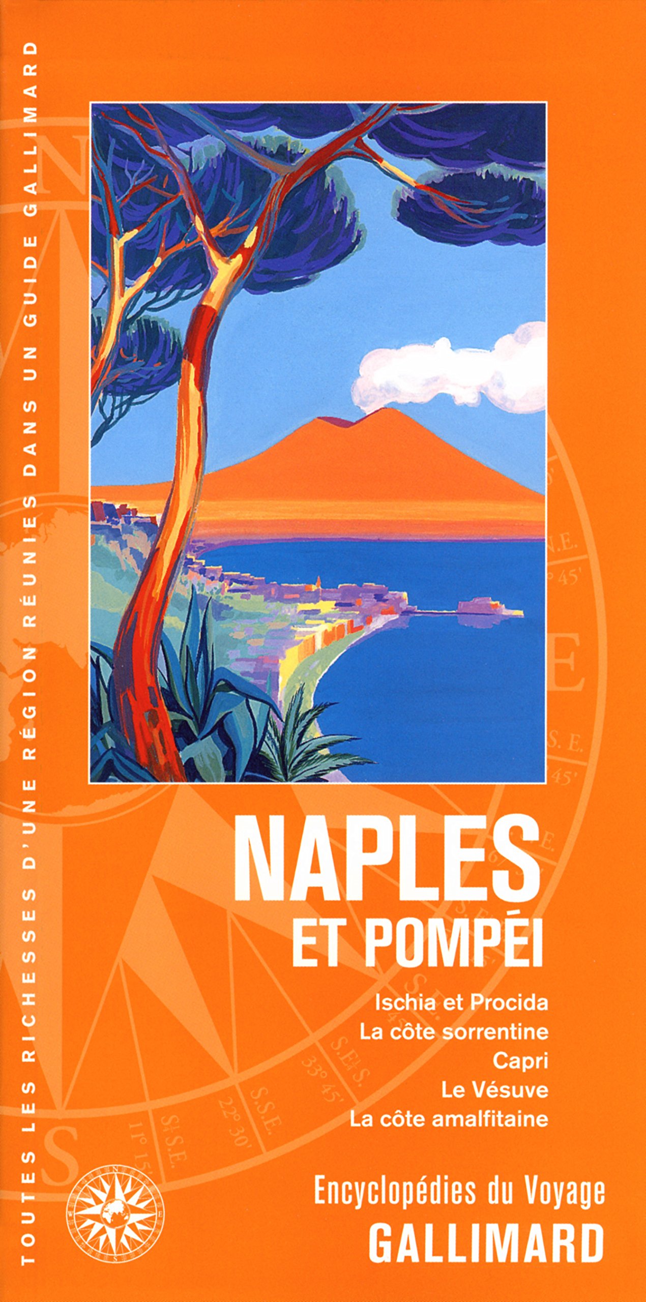 Amazon Fr Naples Et Pompei Ischia Et Procida La Cote Sorrentine Capri Le Vesuve La Cote Amalfitaine Collectifs Livres