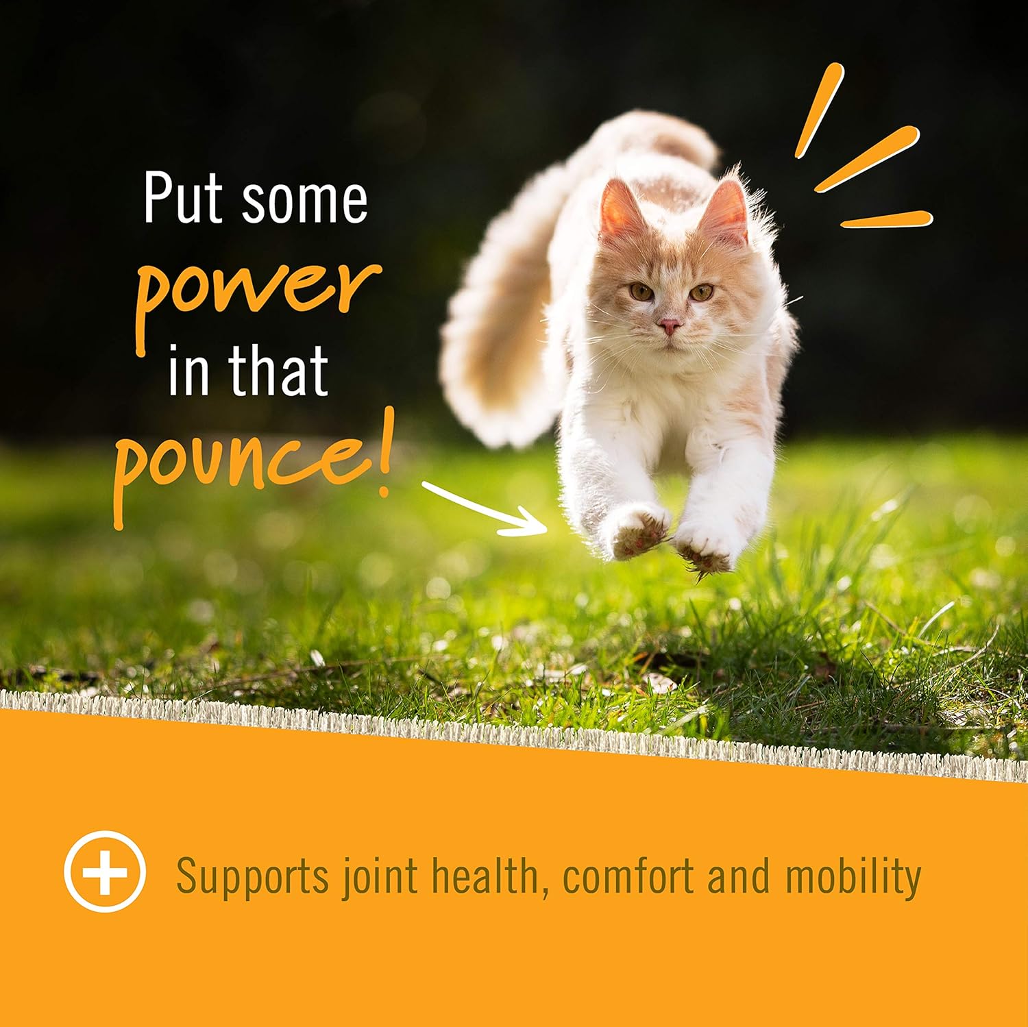 Pet Naturals - Hip + Joint for Cats, Daily Hip & Joint Support Supplement, 30 Chews : Pet Supplies