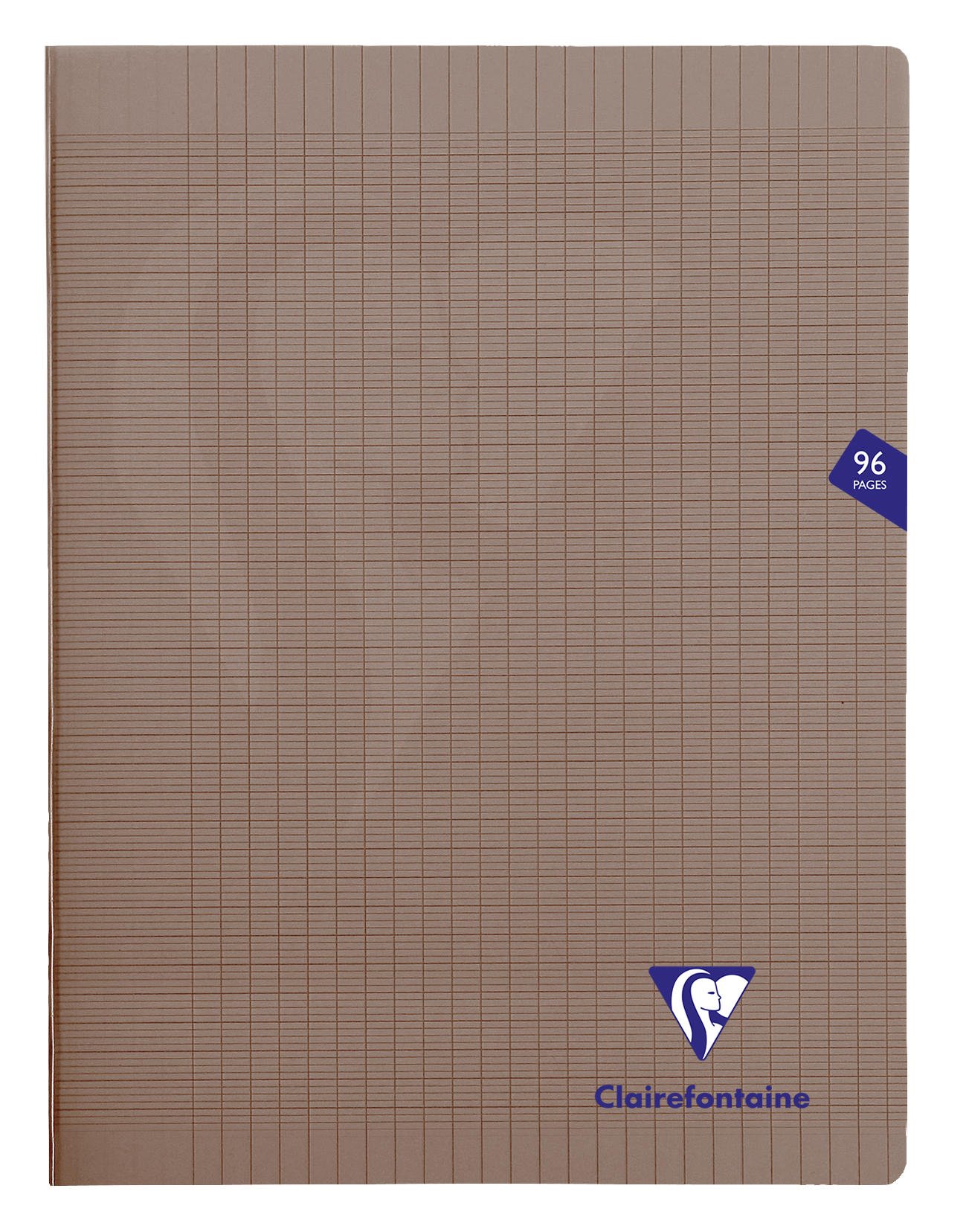 Clairefontaine 363361C - One Grey Mimesys Stapled Notebook - Dimensions: 24 cm x 32 cm - 96 Pages Seyes Ruled - 90 g White Vellum Paper - Polypro Cover