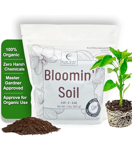 Amazon.com : Elm Dirt Premium Ancient Soil for All Plants - Organic Plant  Soil for Outdoor Plants & Indoor Plant Soil | Garden Soil for Plant  Nutrients Growth & Protect your Plants