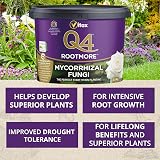 Q4 Mycorrhizal Fungi Rootmore 2.5kg Tub for Roses Trees Shrubs Edibles view 2