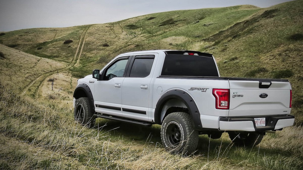 Exterior Accessories BIZON Truck Spoiler 983479BZ 20152019 Ford F150