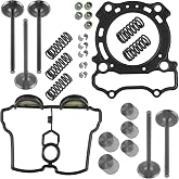 Caltric Valve Intake &amp; Exhaust with Gaskets Kit Complete Compatible with Yamaha YZ250F 2001-2013