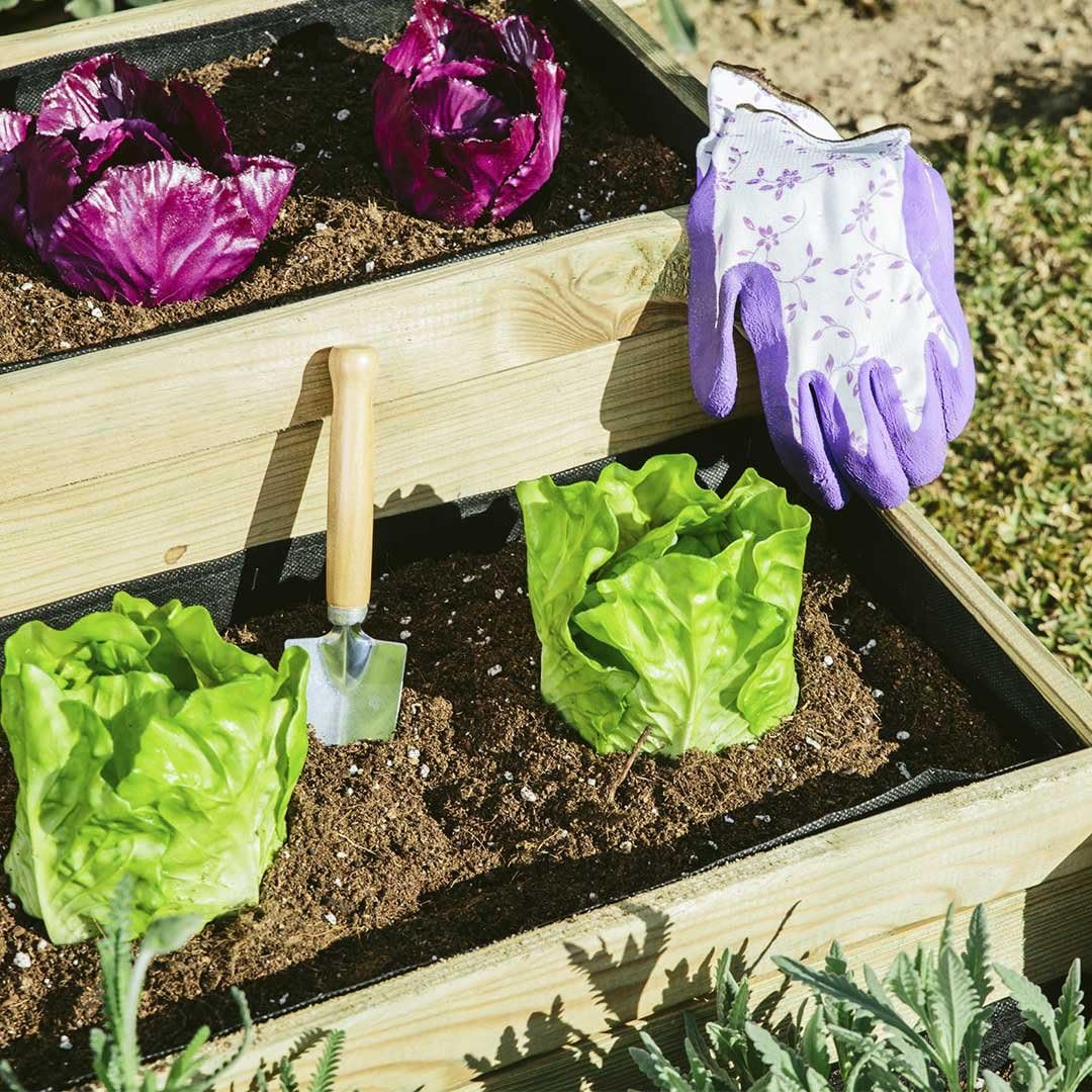 Catral 75010008 Huerto 3 Cavidades Scala, Pino, 88x113x40 cm ...