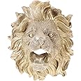 YARNOW Pool Sprayer Fountain Pool Sprayer Fountain 1pcs Lion Head Pond Fountain Nozzle Fountain Lion Head Nozzle Garden Water Sprayer Water Feature Spitter Lion Head Fountain Nozzle Wall Fountain